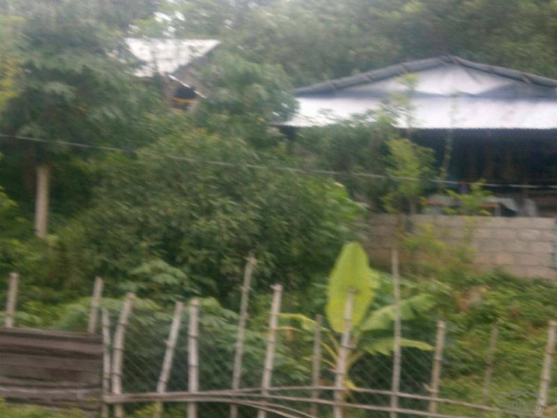 1 bedroom Land and Farm for sale in San Jacinto in Philippines