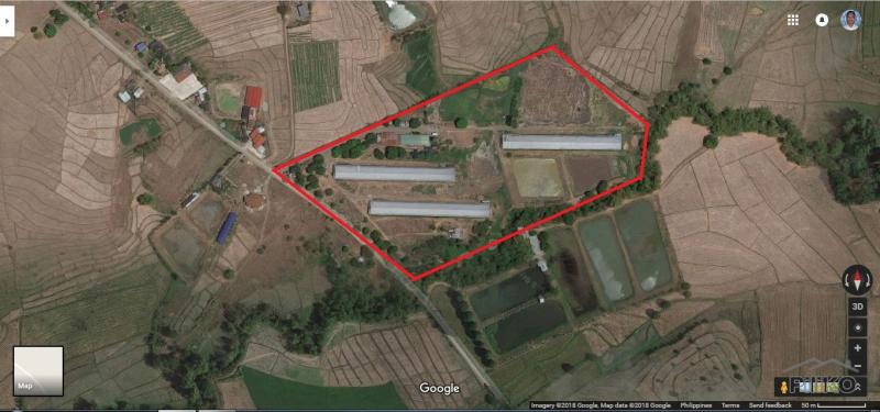 Land and Farm for sale in Gapan in Nueva Ecija