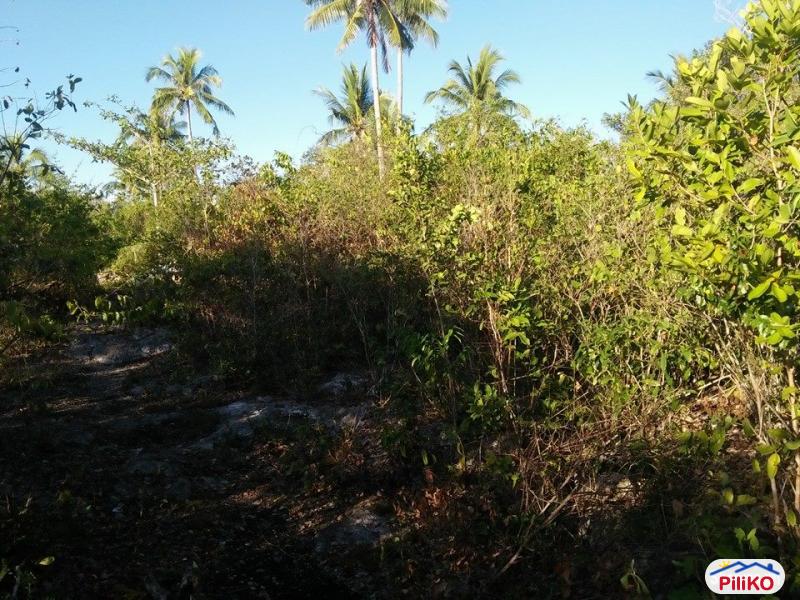 Commercial Lot for sale in Tagbilaran City - image 10
