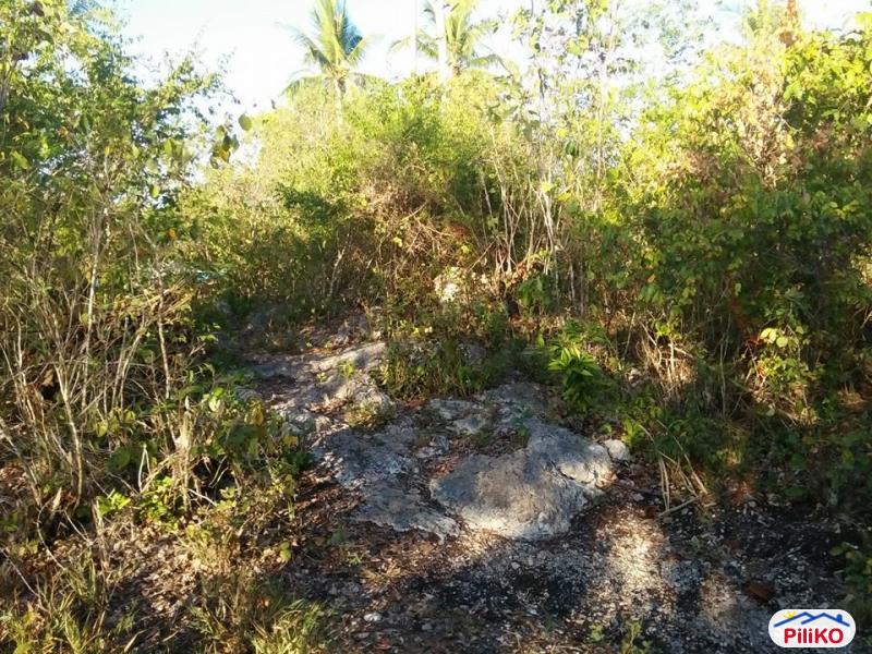 Commercial Lot for sale in Tagbilaran City - image 11
