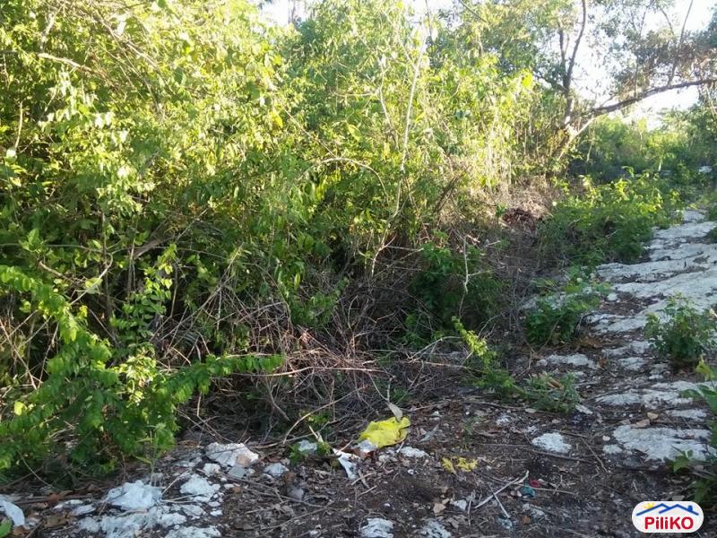 Commercial Lot for sale in Tagbilaran City - image 12