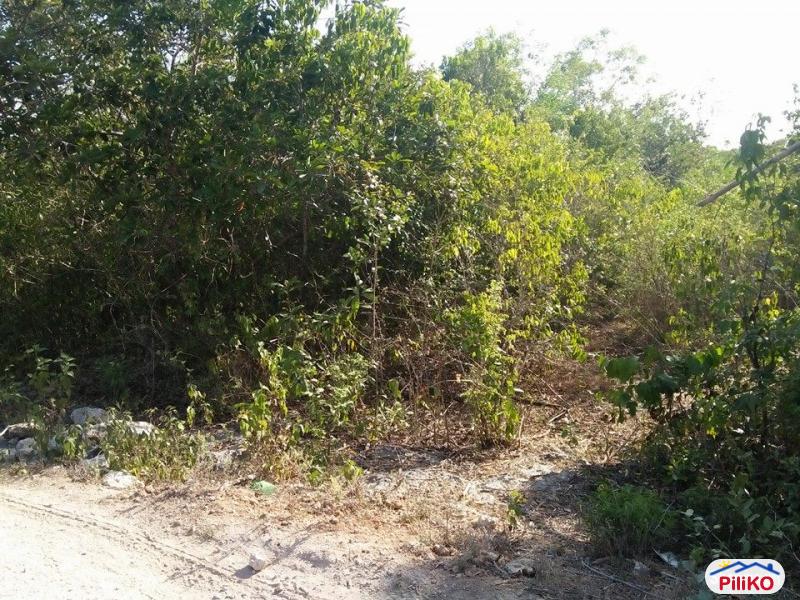 Pictures of Residential Lot for sale in Tagbilaran City