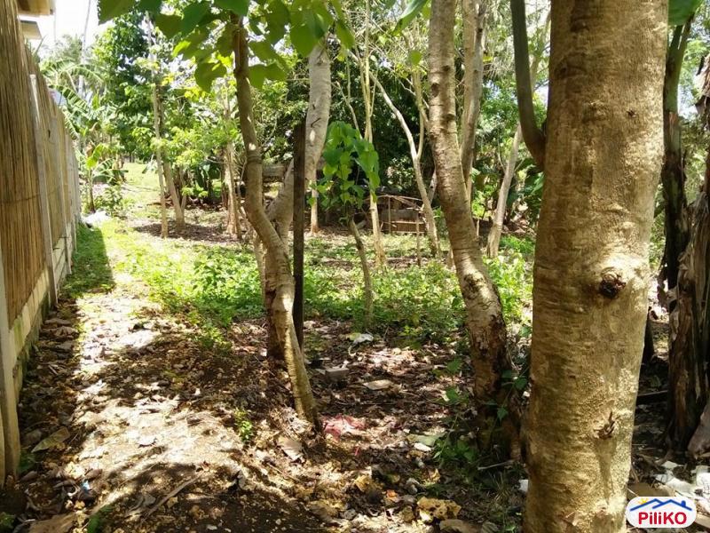 Pictures of Residential Lot for sale in Tagbilaran City