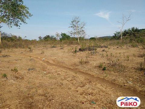 Pictures of Residential Lot for sale in Tagbilaran City