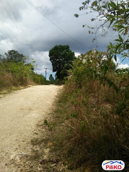 Picture of Residential Lot for sale in Tagbilaran City