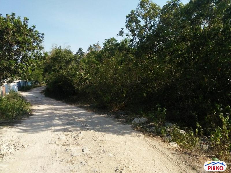 Residential Lot for sale in Tagbilaran City - image 2