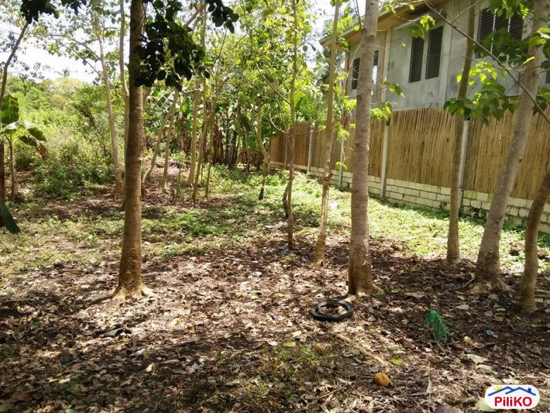 Residential Lot for sale in Tagbilaran City - image 2