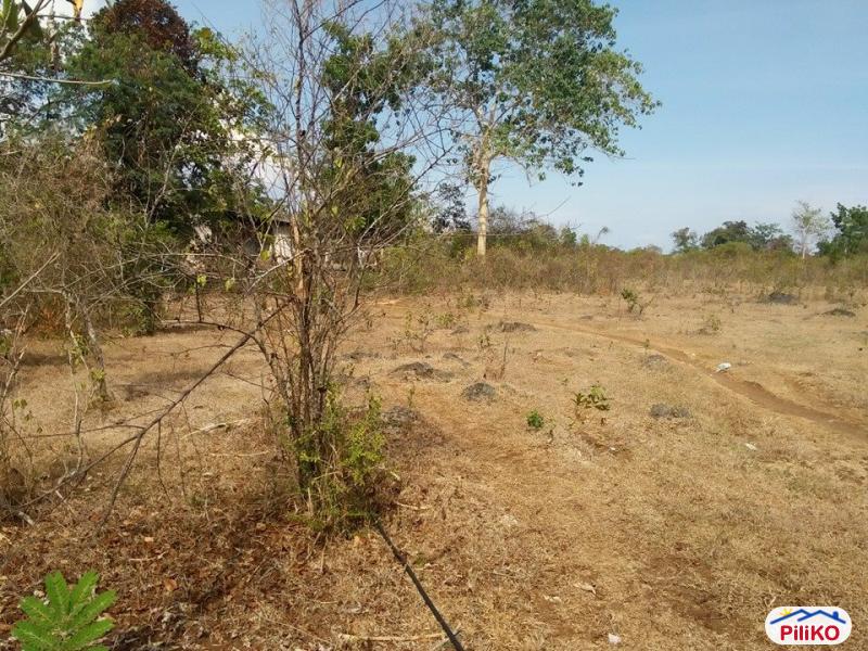 Residential Lot for sale in Tagbilaran City - image 2