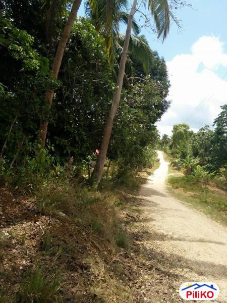 Residential Lot for sale in Tagbilaran City - image 2