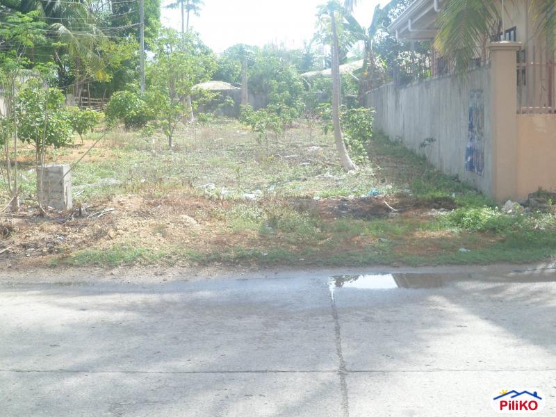Residential Lot for sale in Tagbilaran City 453724 Photo 2