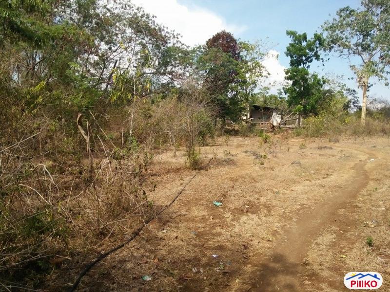 Residential Lot for sale in Tagbilaran City - image 3
