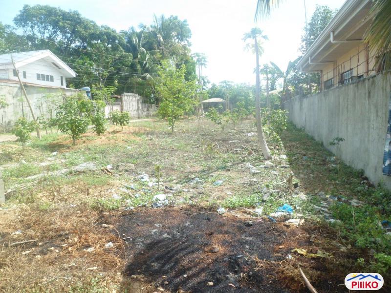 Residential Lot for sale in Tagbilaran City in Bohol