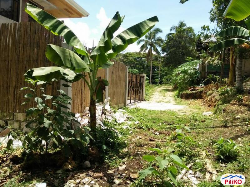 Residential Lot for sale in Tagbilaran City - image 4