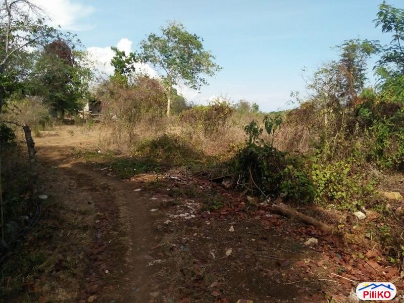Residential Lot for sale in Tagbilaran City in Philippines