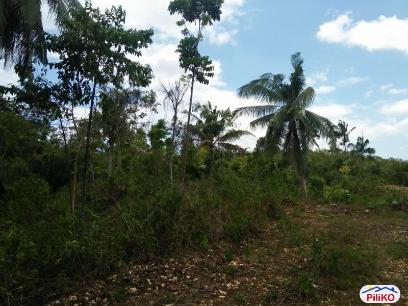 Residential Lot for sale in Tagbilaran City in Philippines