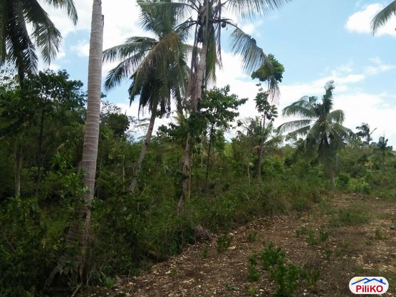 Residential Lot for sale in Tagbilaran City - image 5