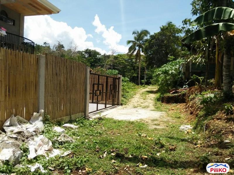 Residential Lot for sale in Tagbilaran City - image 6