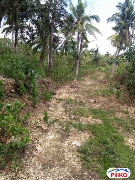 Picture of Residential Lot for sale in Tagbilaran City in Philippines