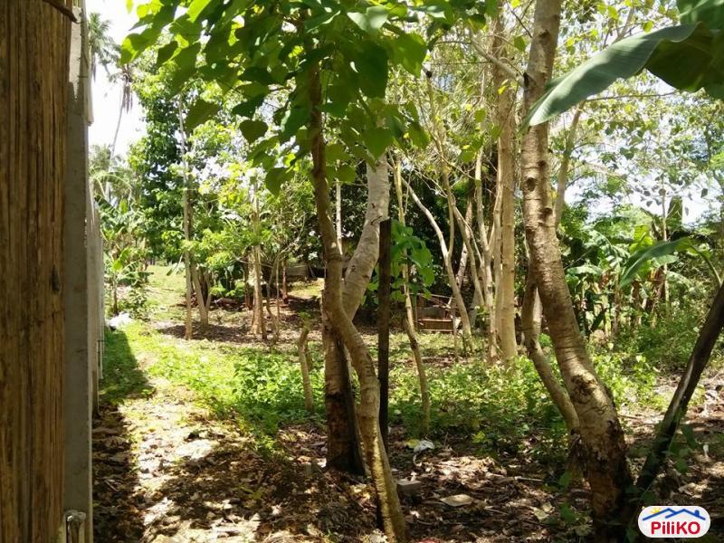 Residential Lot for sale in Tagbilaran City - image 7