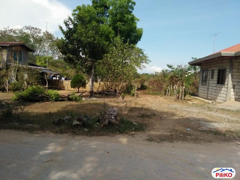 Residential Lot for sale in Tagbilaran City in Bohol - image