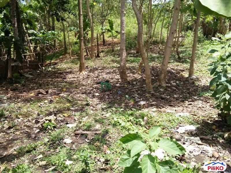 Residential Lot for sale in Tagbilaran City in Philippines - image
