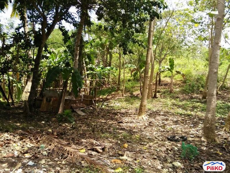 Residential Lot for sale in Tagbilaran City - image 9