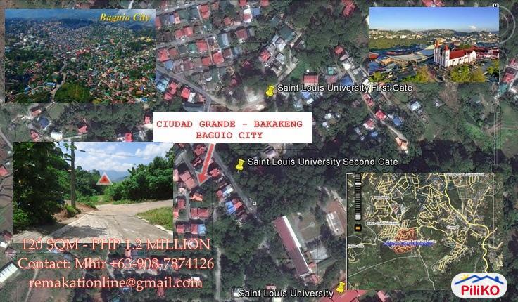 Pictures of Other lots for sale in Pasig