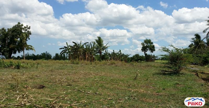 Pictures of Agricultural Lot for sale in Pasig