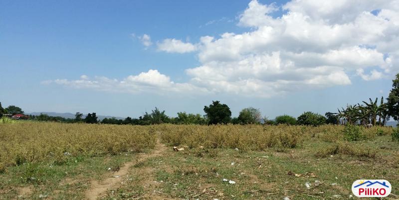 Picture of Agricultural Lot for sale in Pasig