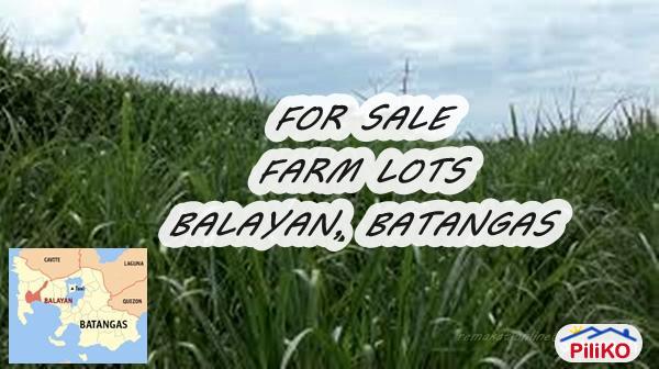 Picture of Agricultural Lot for sale in Mandaluyong