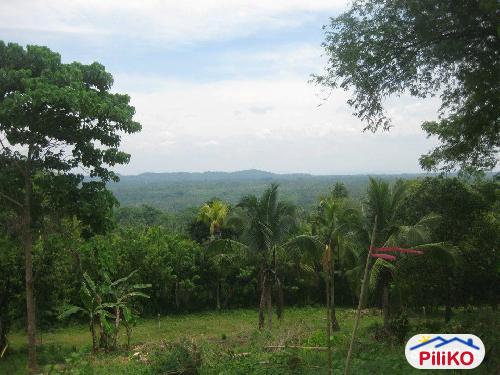 Picture of Residential Lot for sale in Island Garden City of Samal