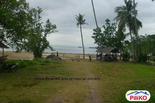 Pictures of Residential Lot for sale in Island Garden City of Samal