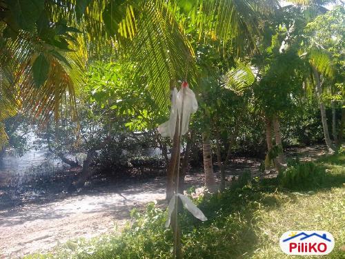 Picture of Residential Lot for sale in Island Garden City of Samal