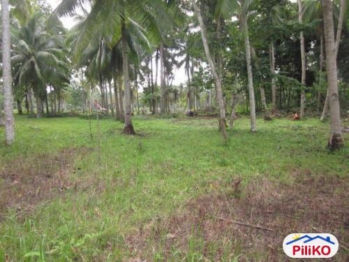 Picture of Residential Lot for sale in Island Garden City of Samal