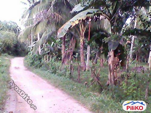Picture of Agricultural Lot for sale in Island Garden City of Samal