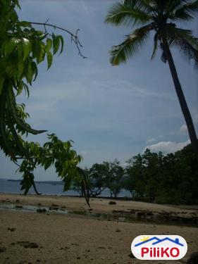 Pictures of Residential Lot for sale in Island Garden City of Samal
