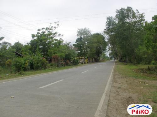Picture of Residential Lot for sale in Island Garden City of Samal