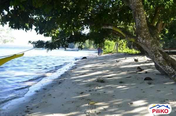 Picture of Commercial Lot for sale in Island Garden City of Samal