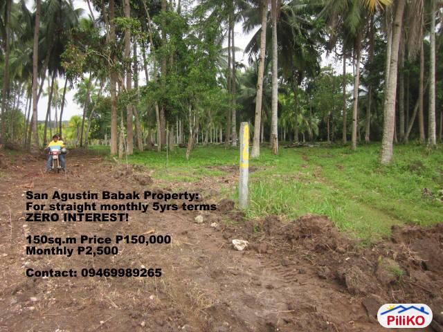 Pictures of Residential Lot for sale in Island Garden City of Samal