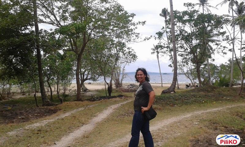 Picture of Residential Lot for sale in Island Garden City of Samal