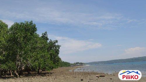 Residential Lot for sale in Island Garden City of Samal - image 2