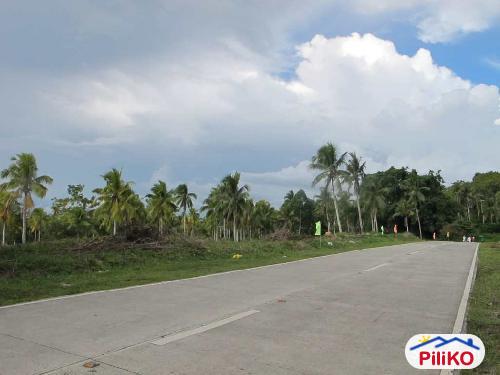 Residential Lot for sale in Island Garden City of Samal - image 2