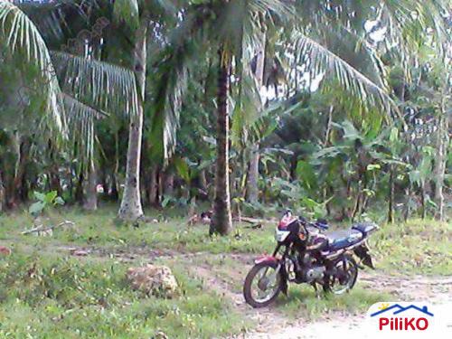 Agricultural Lot for sale in Island Garden City of Samal