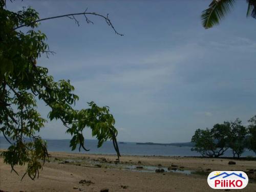 Residential Lot for sale in Island Garden City of Samal - image 2