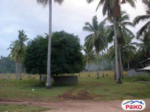 Residential Lot for sale in Island Garden City of Samal