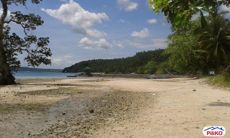 Commercial Lot for sale in Island Garden City of Samal - image 2