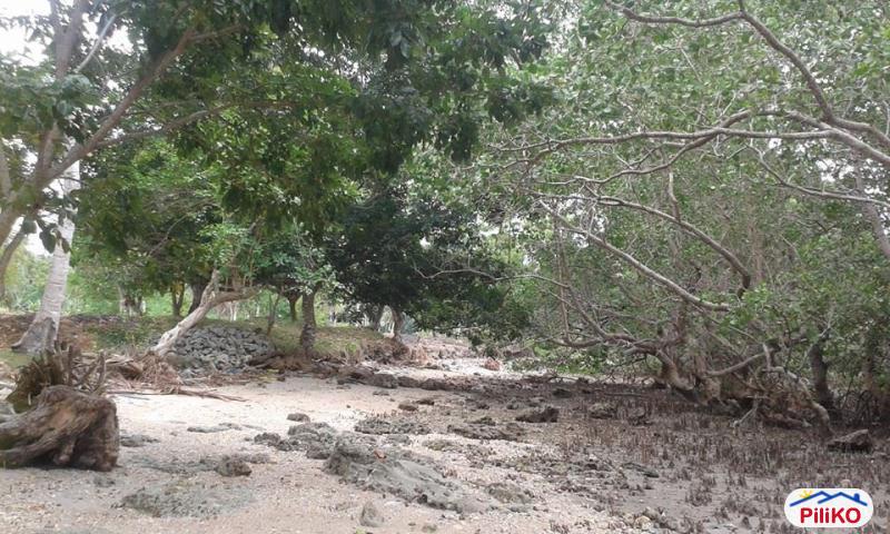 Residential Lot for sale in Island Garden City of Samal - image 2