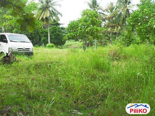 Residential Lot for sale in Island Garden City of Samal - image 3