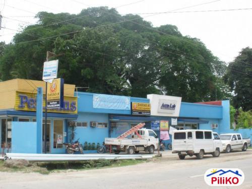 Residential Lot for sale in Island Garden City of Samal in Davao del Norte