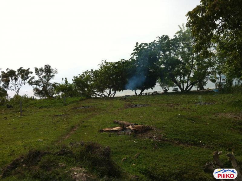 Commercial Lot for sale in Island Garden City of Samal - image 3